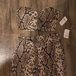 Matching reptile set from Windsor